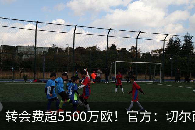 转会费超5500万欧！官方：切尔西签下21岁帕莱斯特拉，签约7年